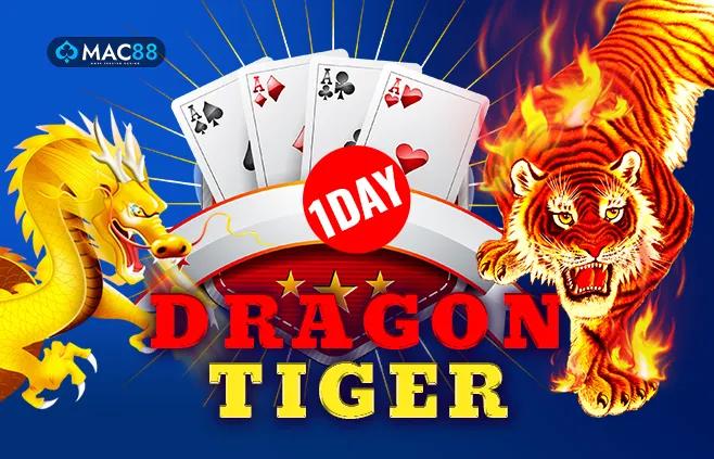 Dragon Tiger 1 Day